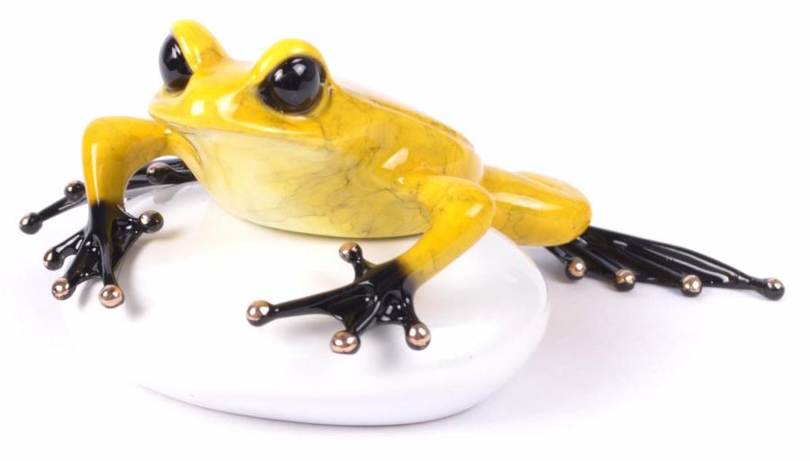 Rock Star Frogman (Tim Cotterill)